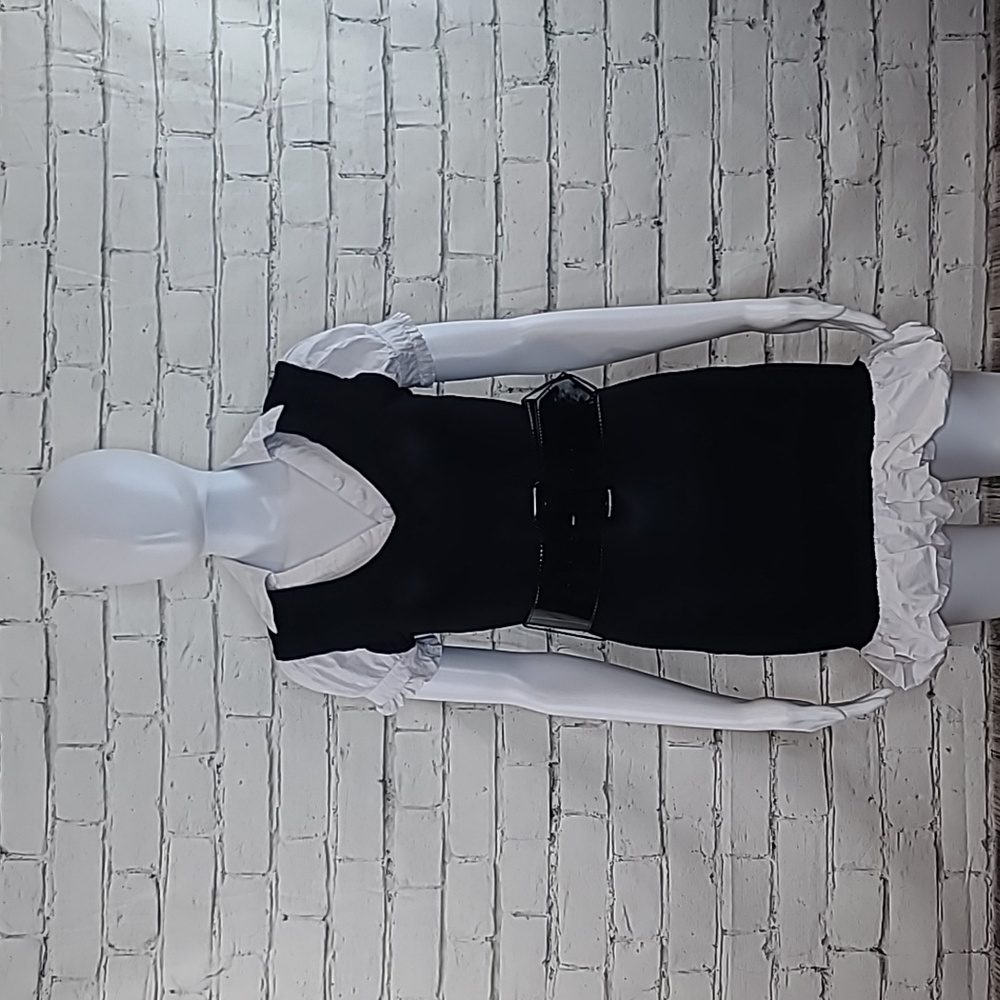 Body Central V-Neck Cotton Fitted/Bodycon Belted Sweater Mini Dress Black/White